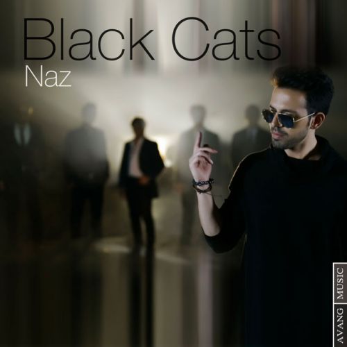 دانلود اهنگ ناز از Black  Cats